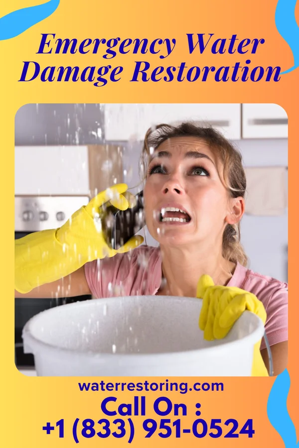 Emergency Water Damage Restoration in Pronghorn, OR