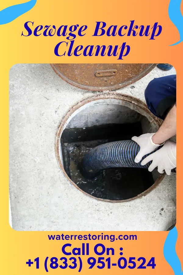 Sewage Backup Cleanup in Pronghorn, OR